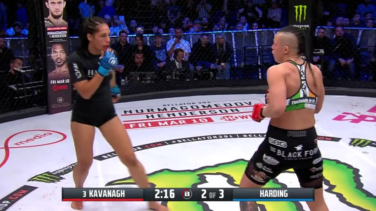 Bellator MMA live