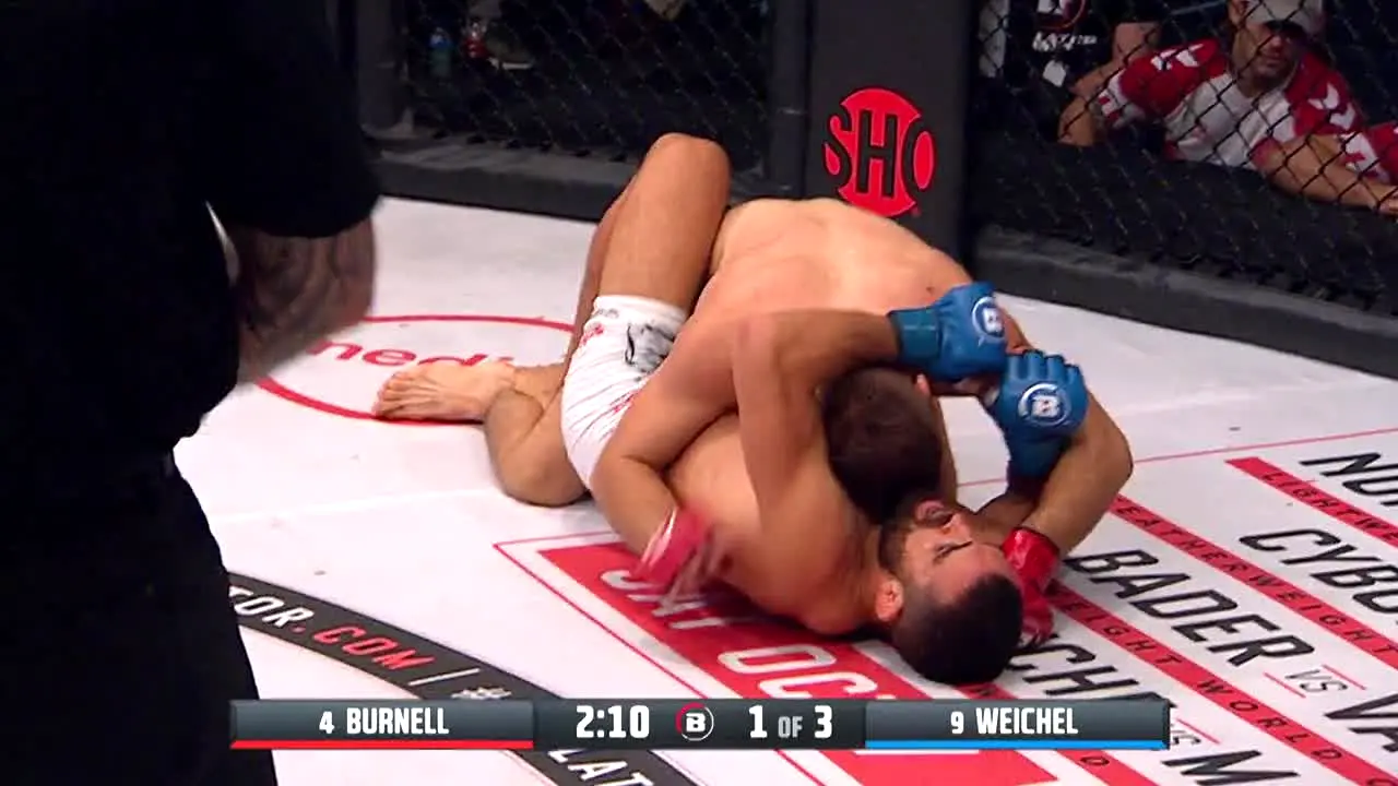 Bellator MMA en vivo