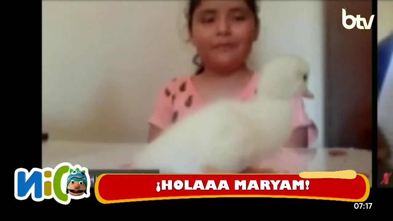 Bolivia TV en vivo