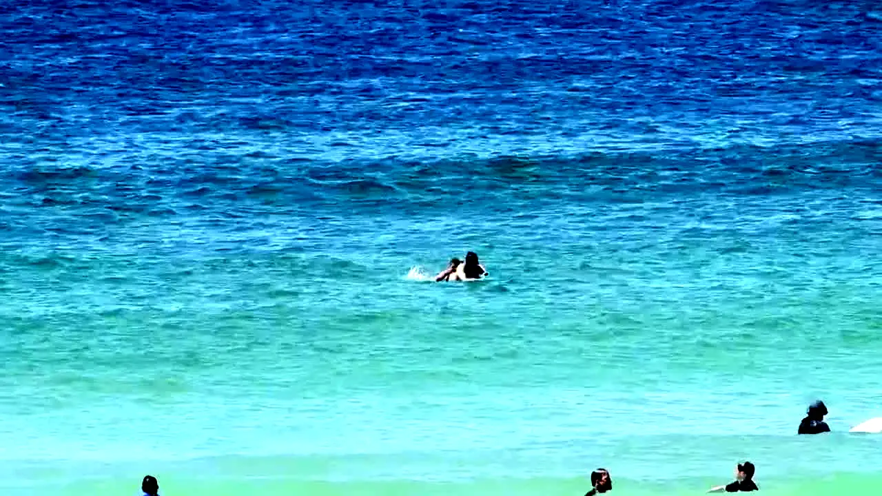 Bondi Rescue live