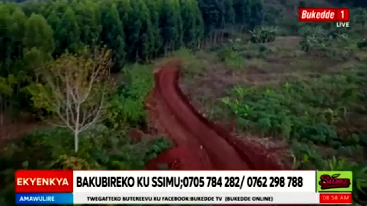 Bukedde TV 1 in diretta