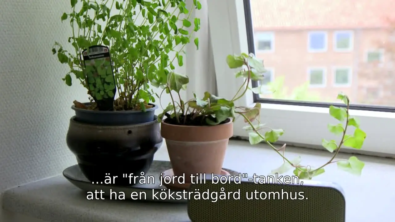 Buying Blind Denmark live