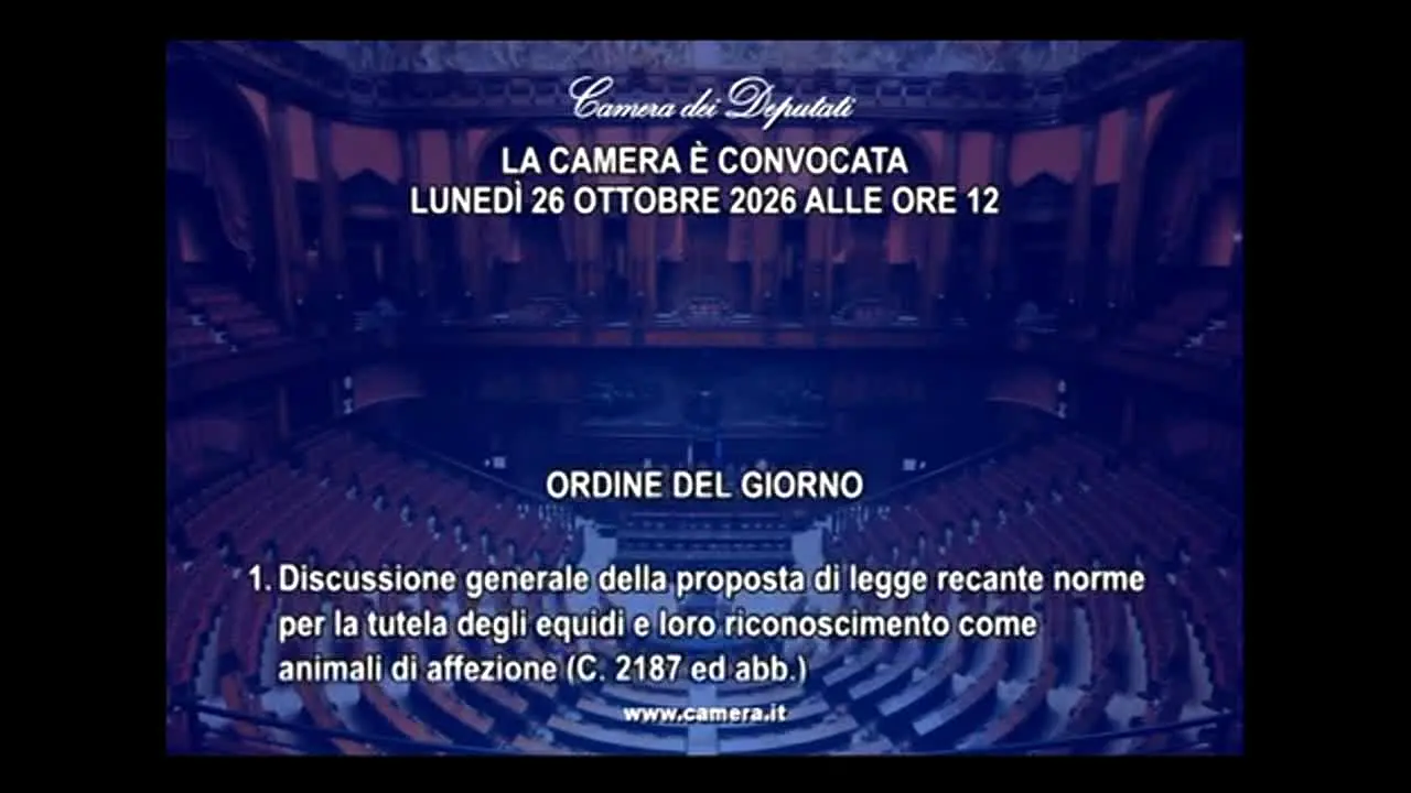 Camera dei Deputati live