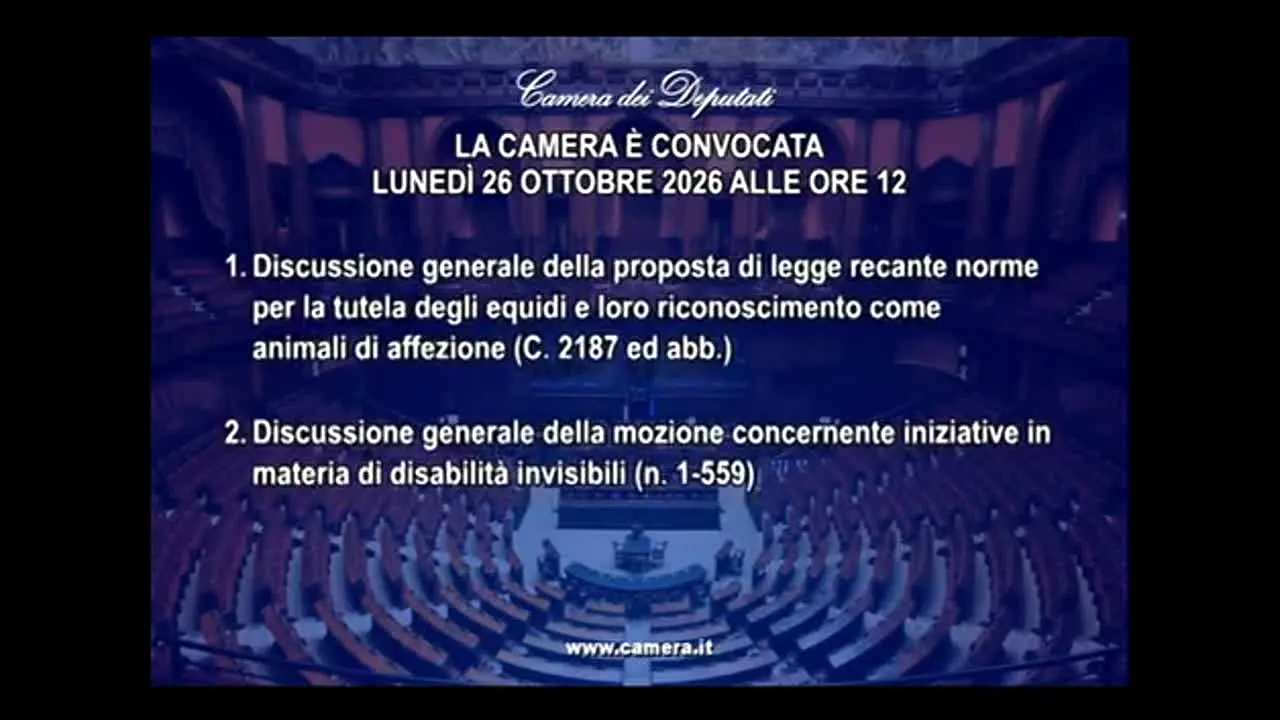 Camera dei Deputati in diretta