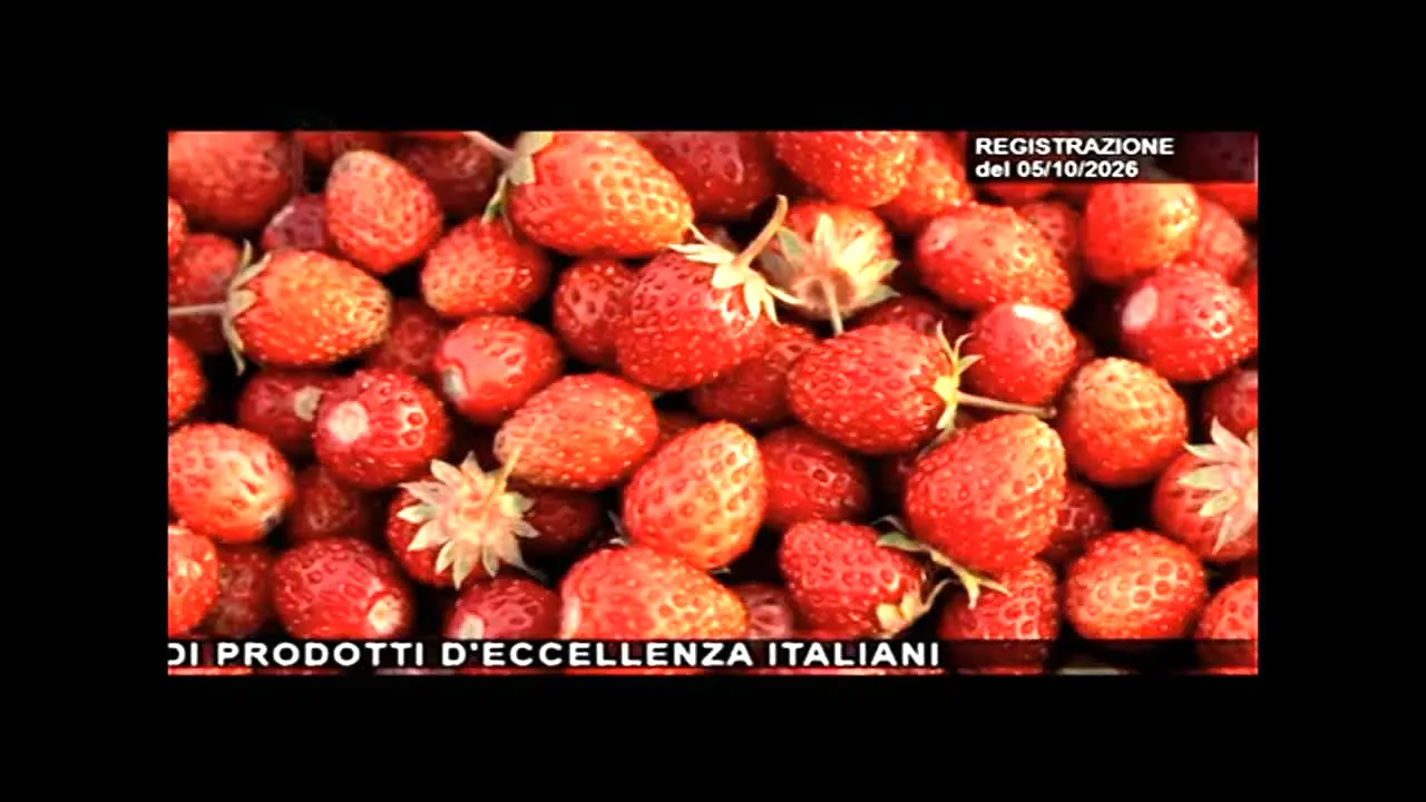 Camera dei Deputati en vivo