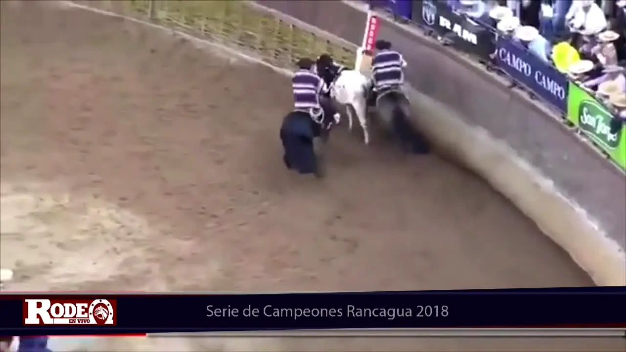 Campo Abierto TV · CL live