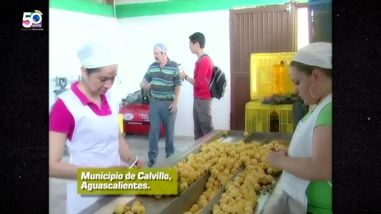 Canal 26 live