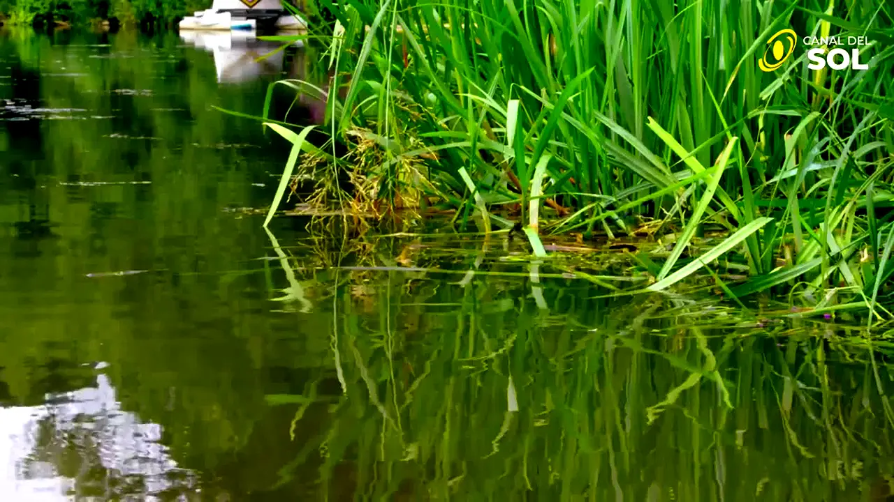 Canal del Sol — прямой эфир