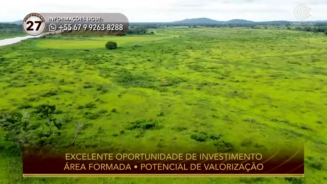 Canal do Boi in diretta