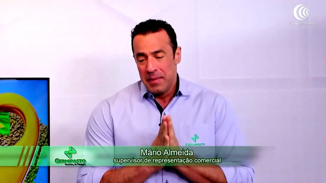 Canal do Boi en vivo