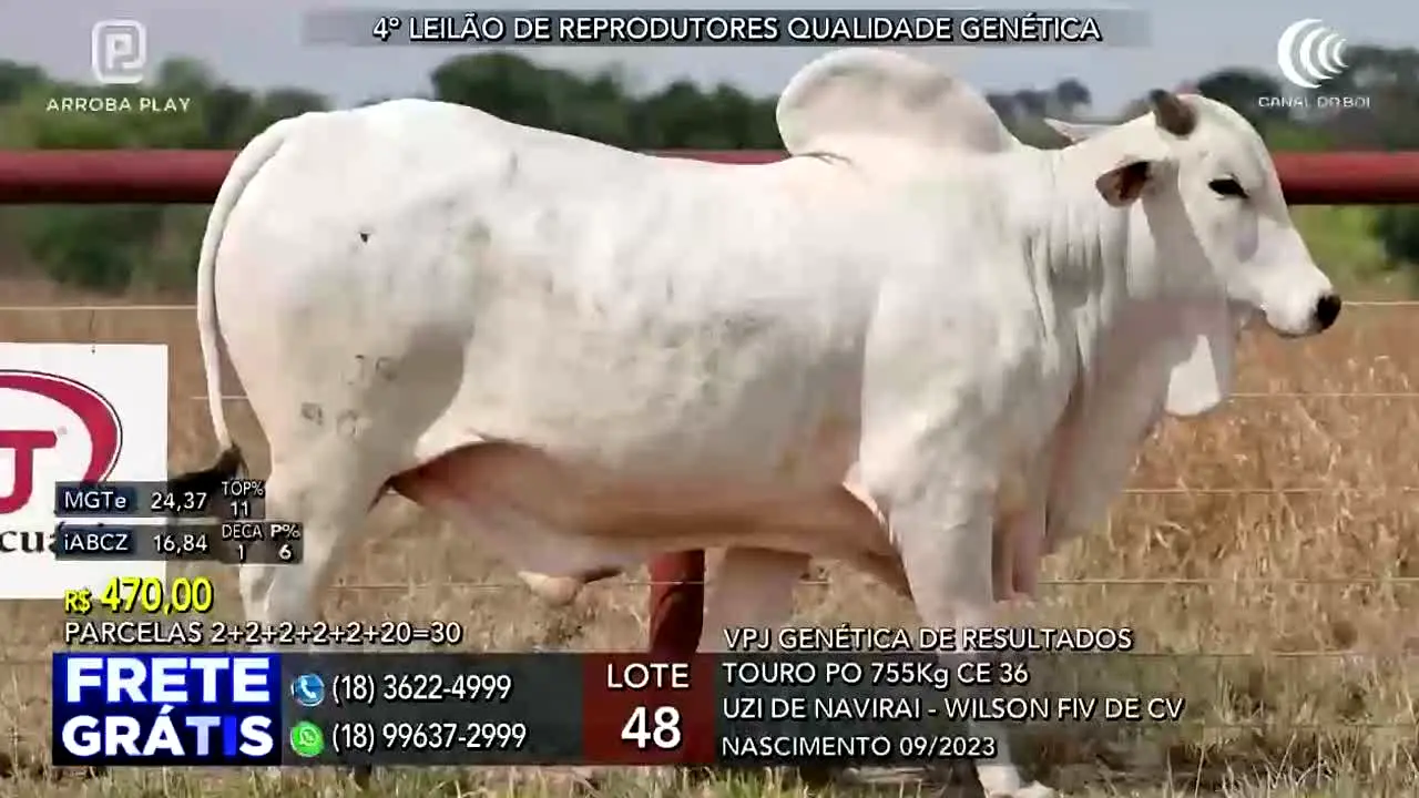 Canal do Boi en direct