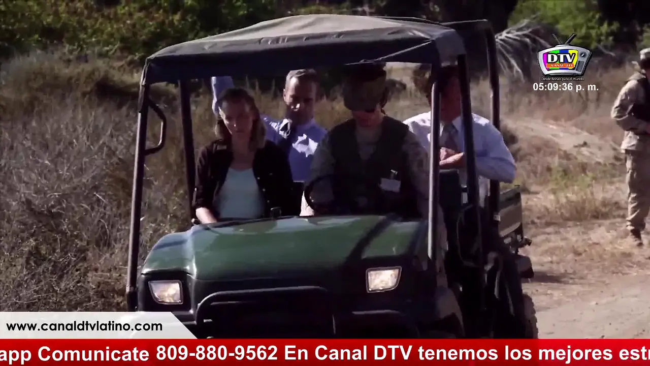 Canal DTV na żywo