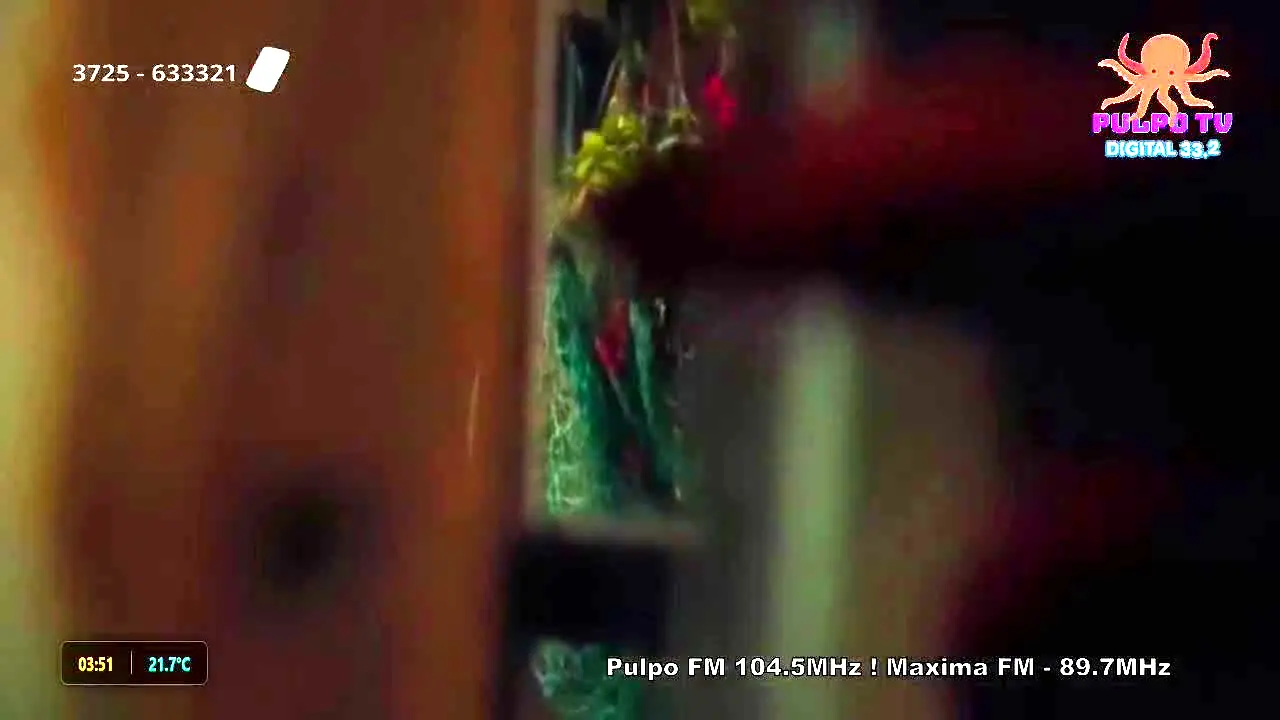 Canal Pulpo TV live