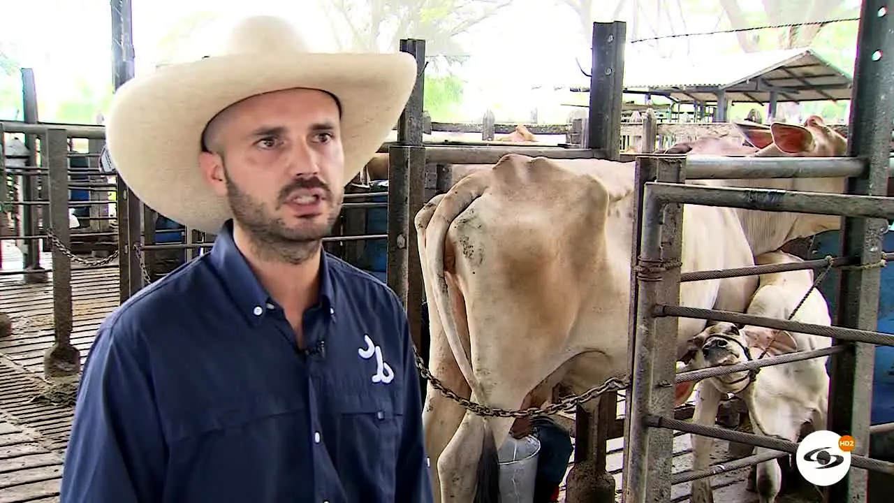 Caracol HD2 live