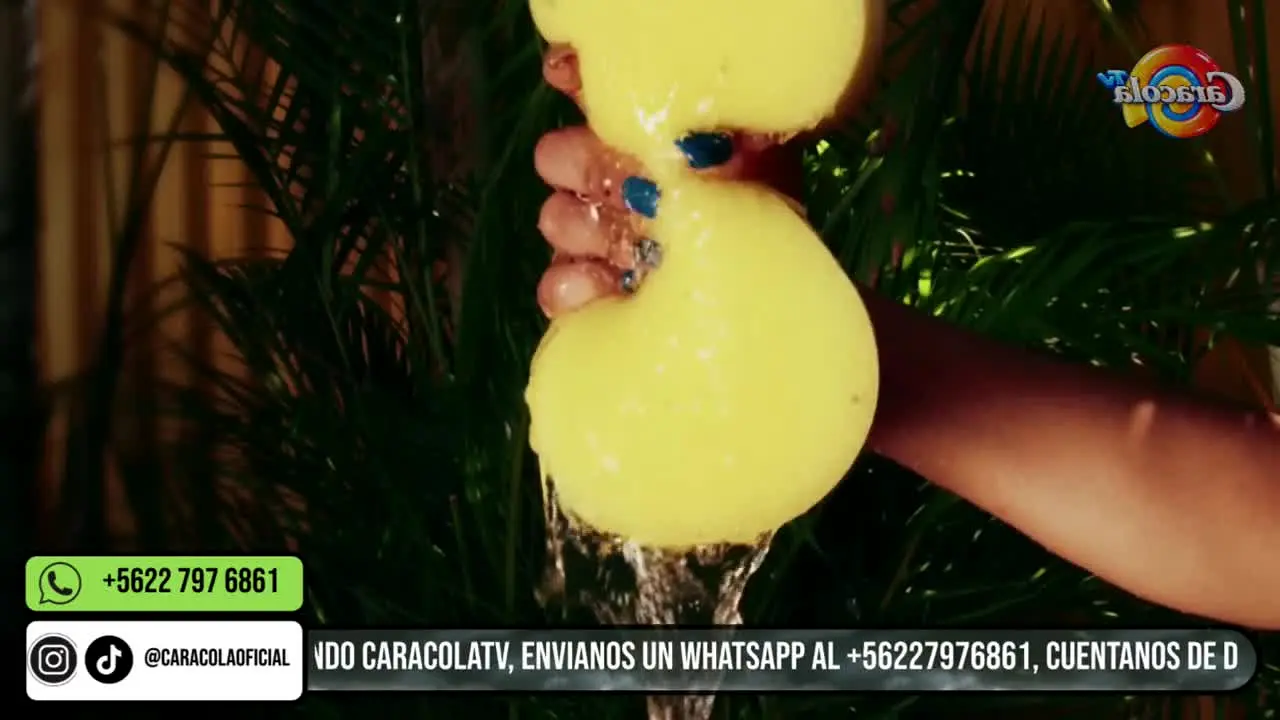 Caracola TV live