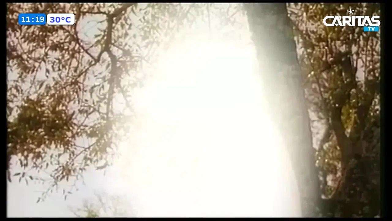 Caritas TV na żywo