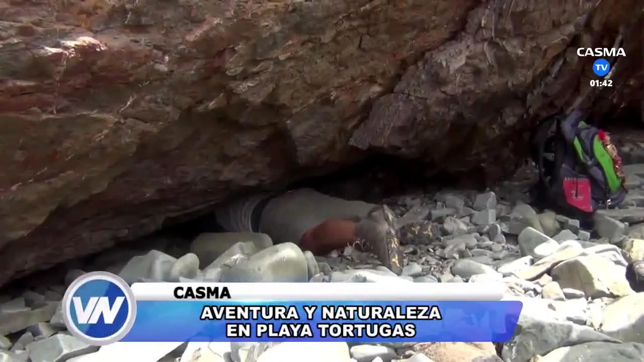 Casma TV live