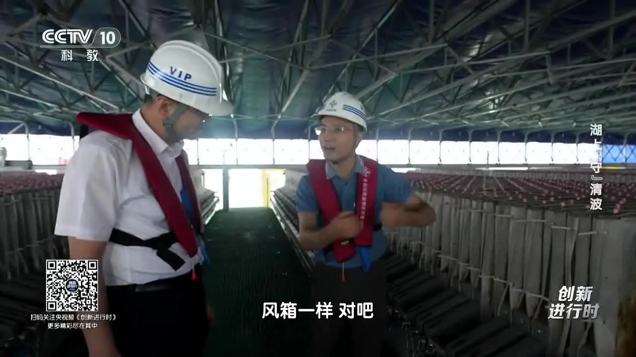 CCTV-10 科教 live