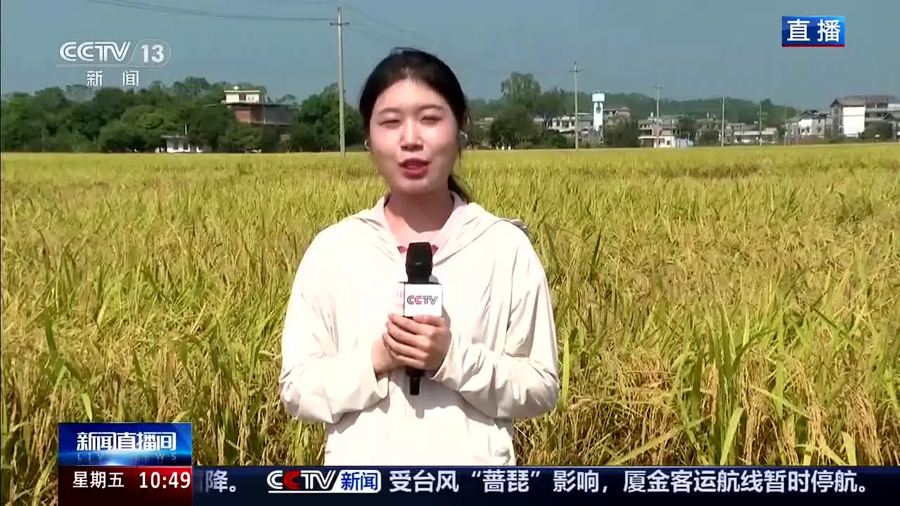 CCTV-13 新闻 live