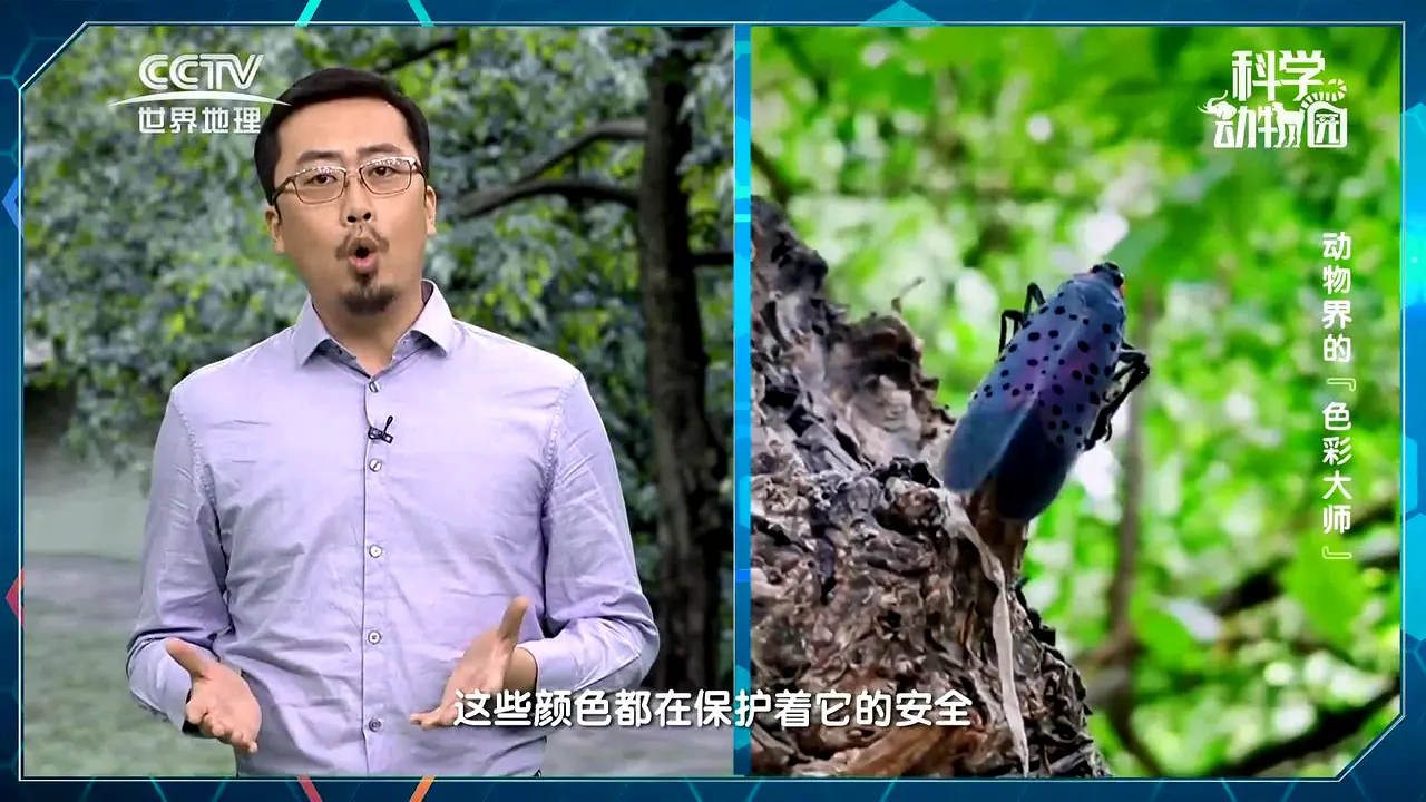 CCTV-World Geography en direct