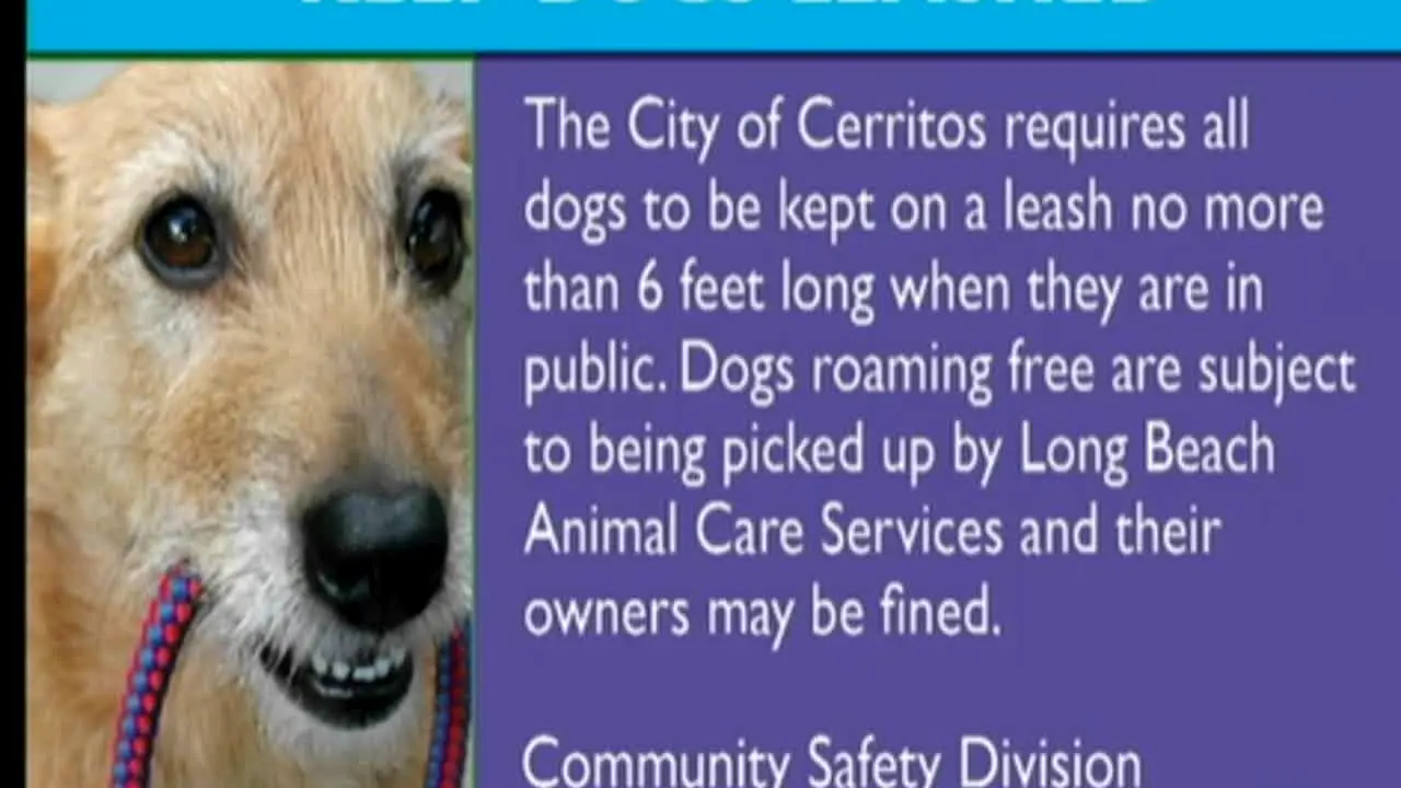 Cerritos TV3 live