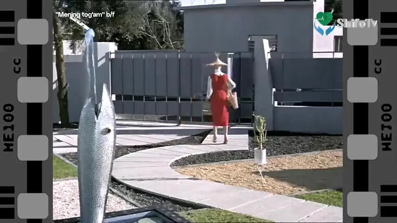Cheksiz TV in diretta