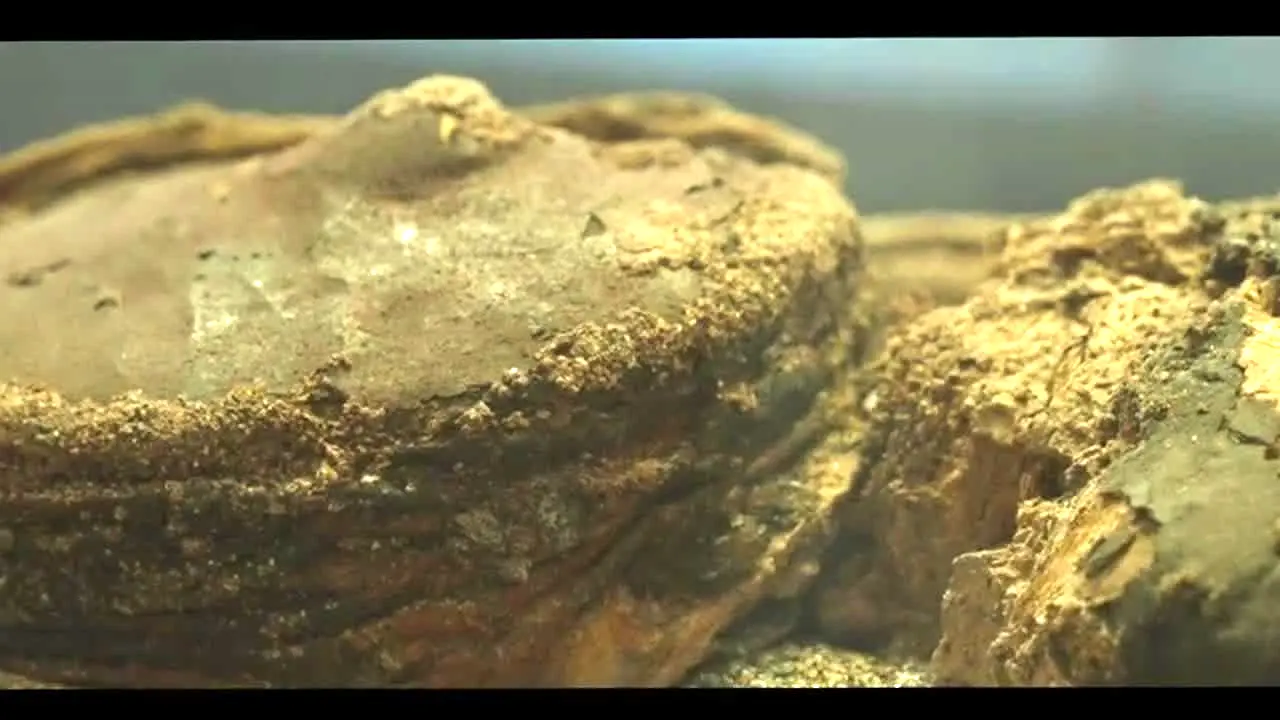 Chile Channel · CL in diretta