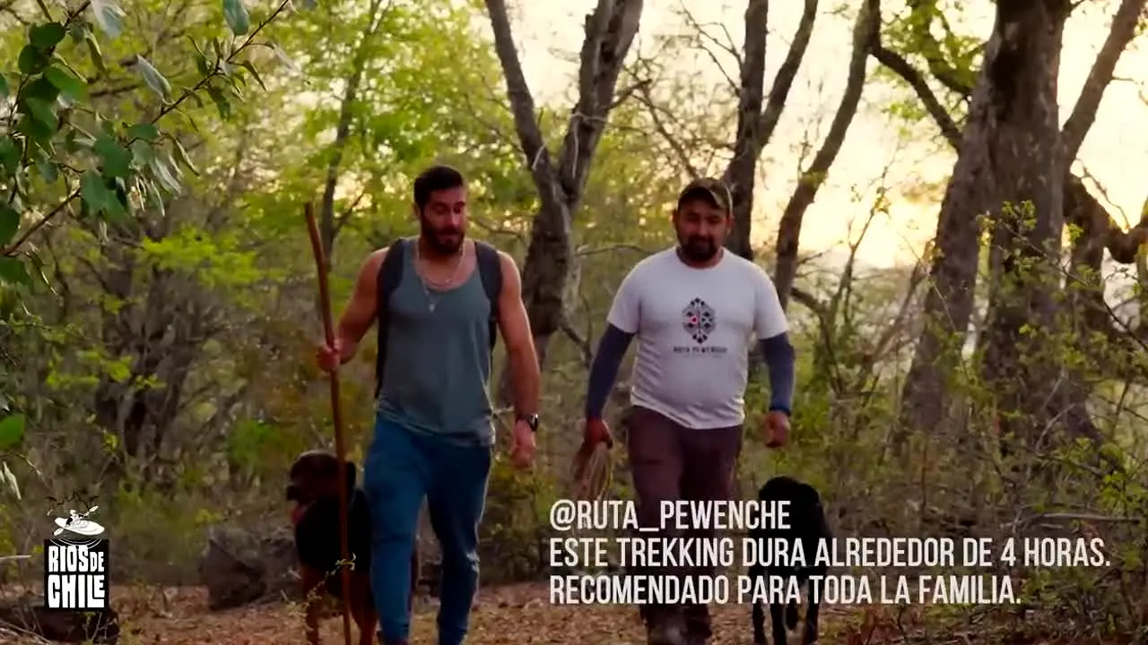 Chile Channel · CL na żywo