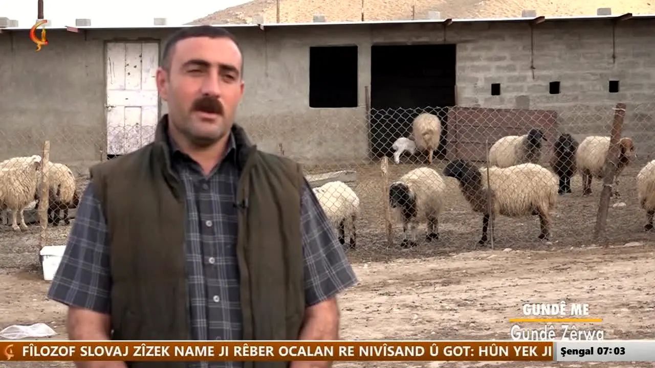 Cira TV en direct
