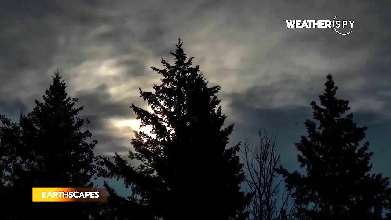 WeatherSpy live
