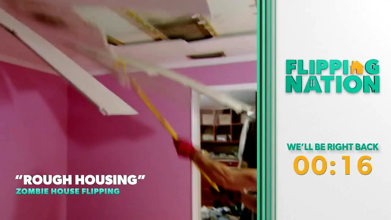 Flipping Nation en vivo