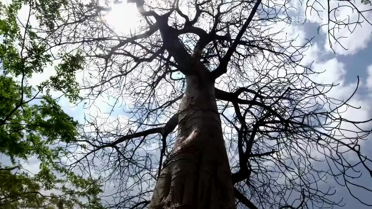 NatureTime na żywo