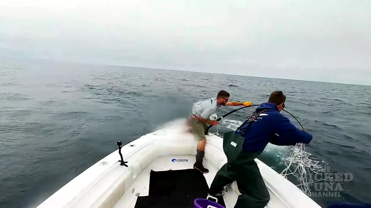The Wicked Tuna live