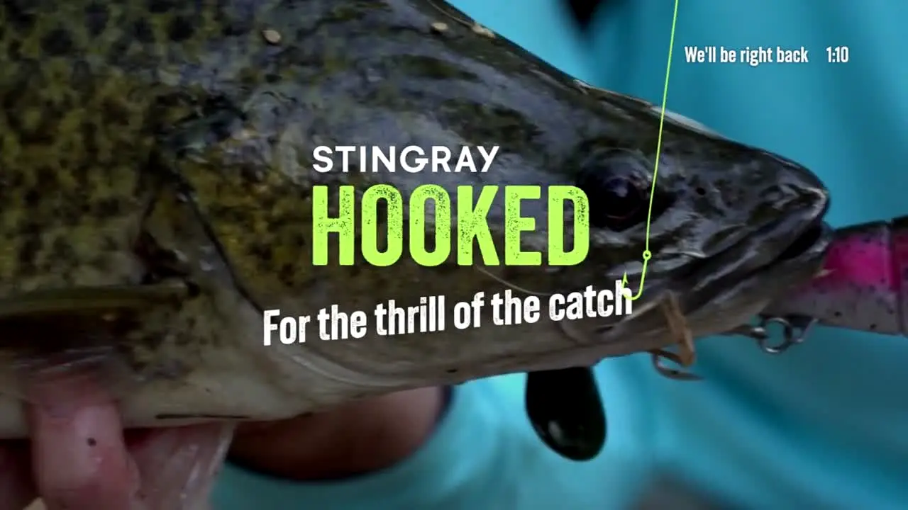 Hooked live