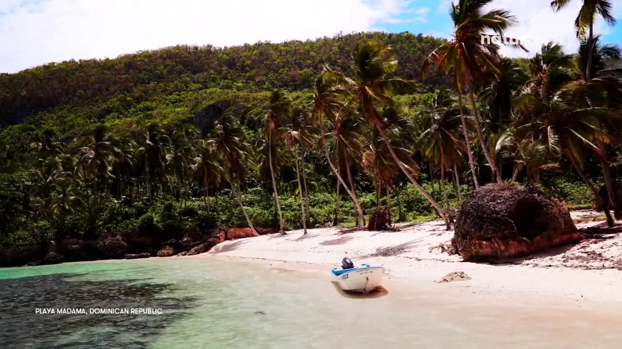 Stingray Naturescape en vivo