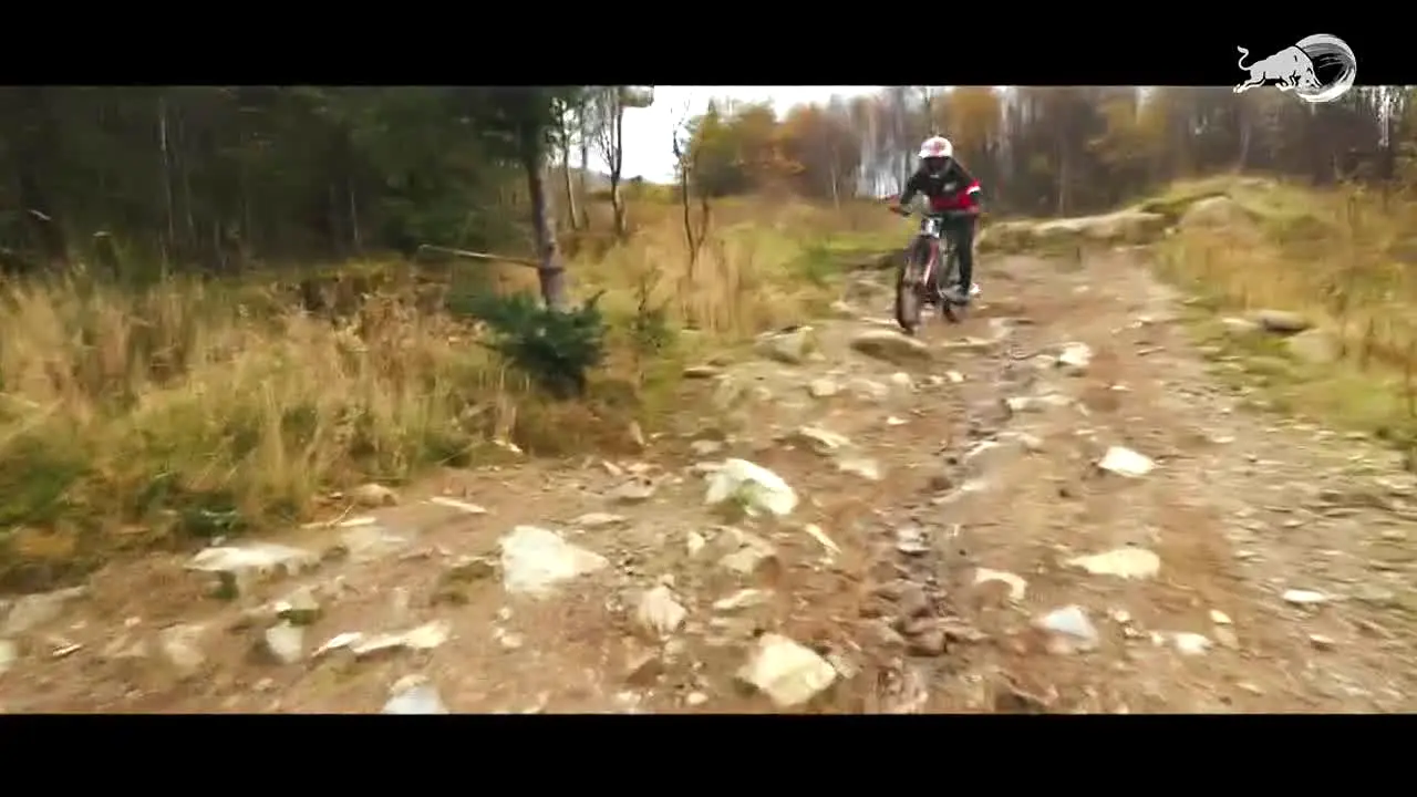 Red Bull TV in diretta