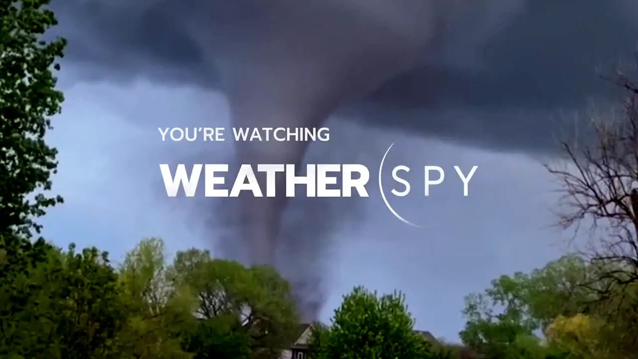 WeatherSpy live