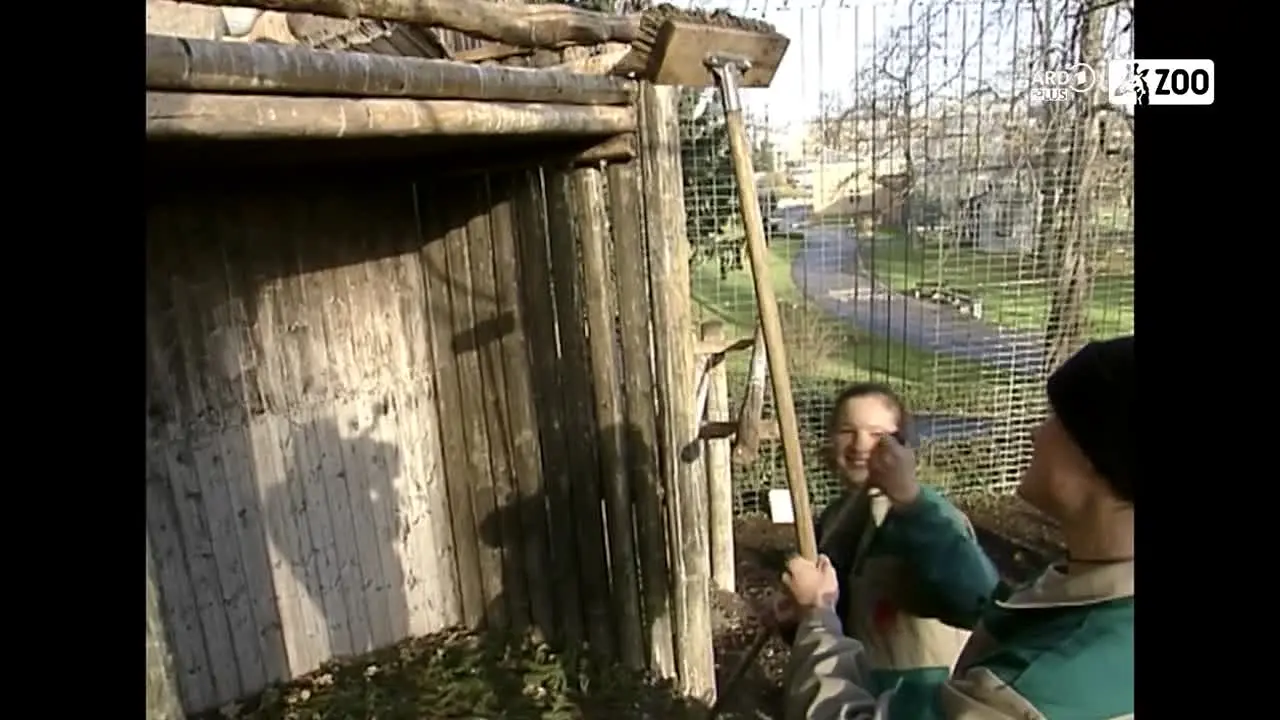 ARD Plus Zoo live