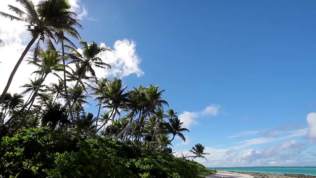 Island Vibes na żywo