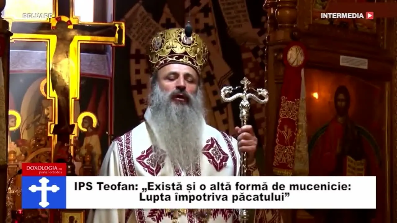 Intermedia TV na żywo