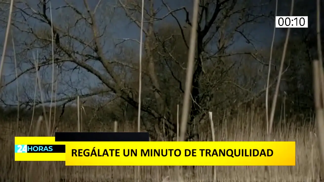 Estrella News live