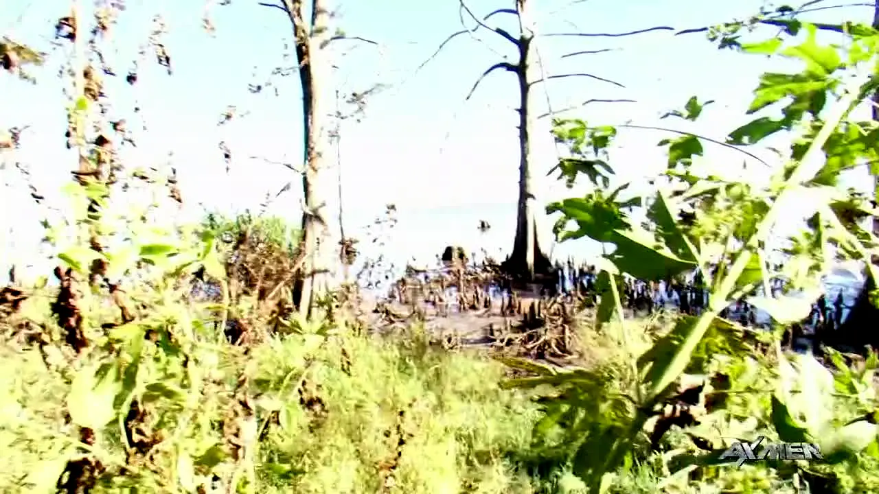 Ax Men — прямой эфир