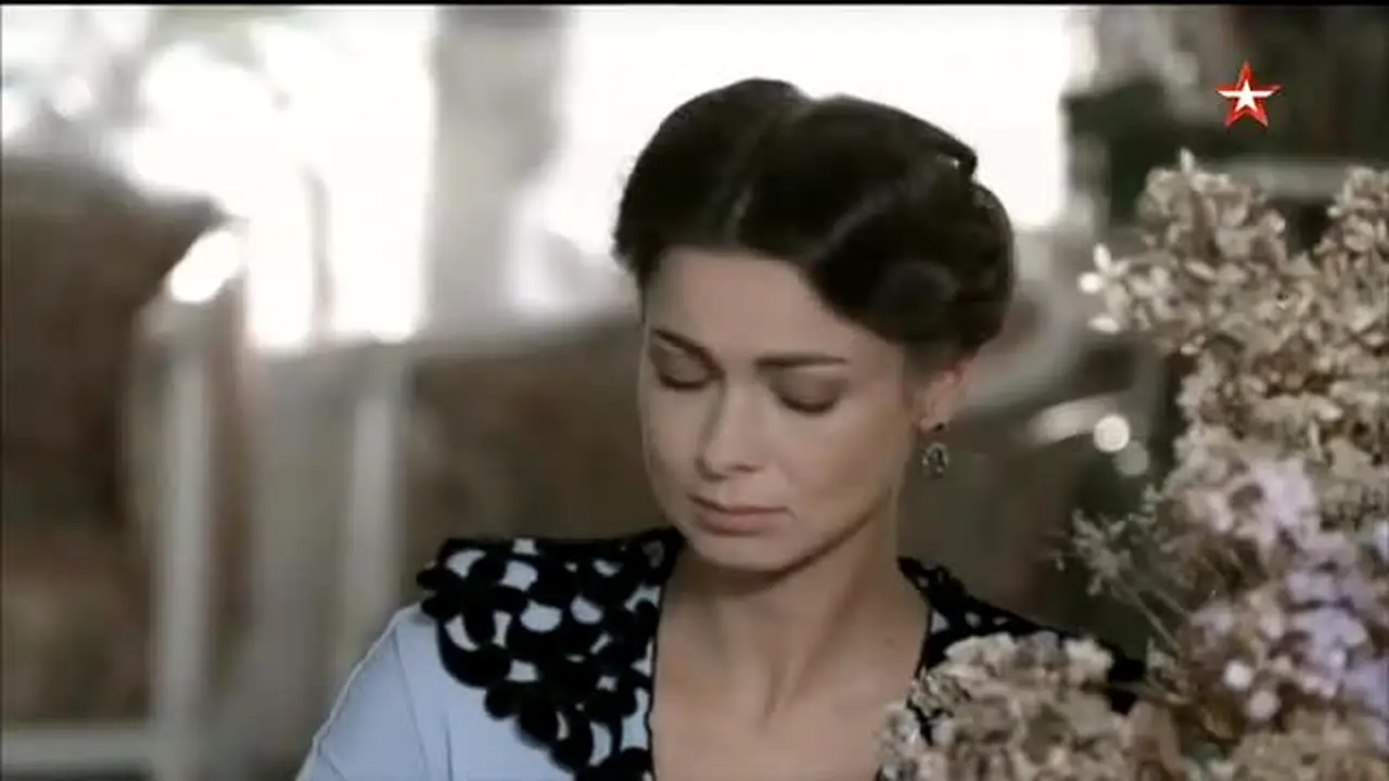 Звезда in diretta