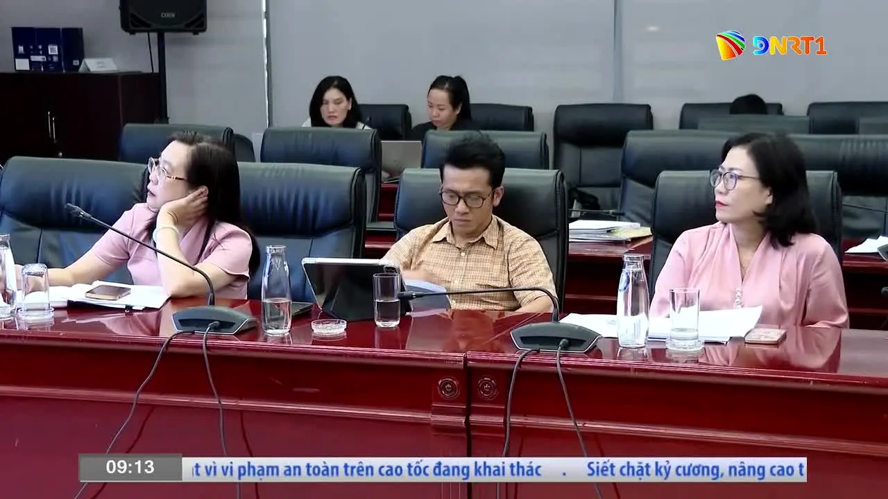 Da Nang TV 1 live