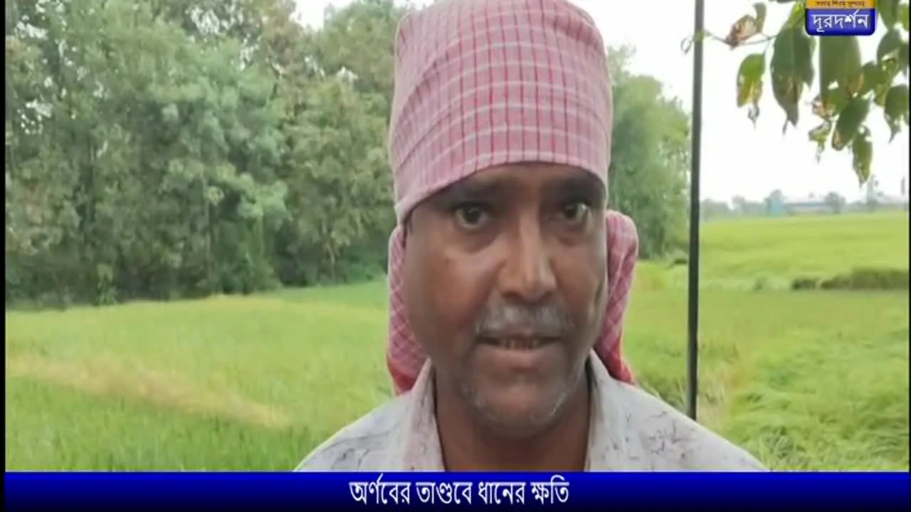 DD Bangla live