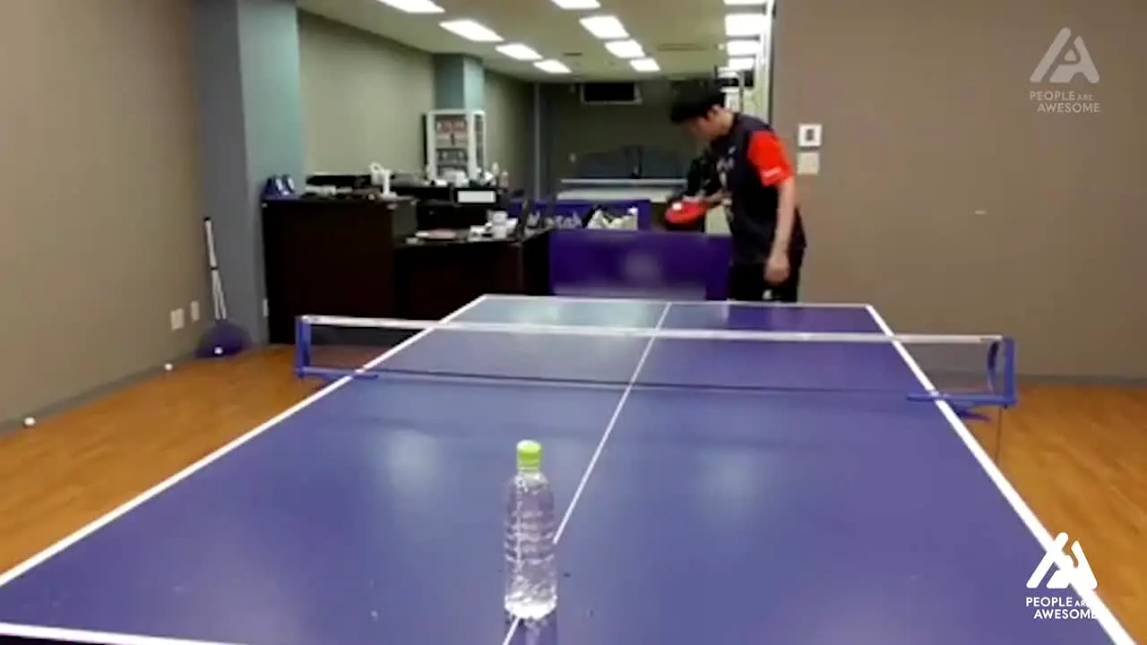 People Are Awesome live