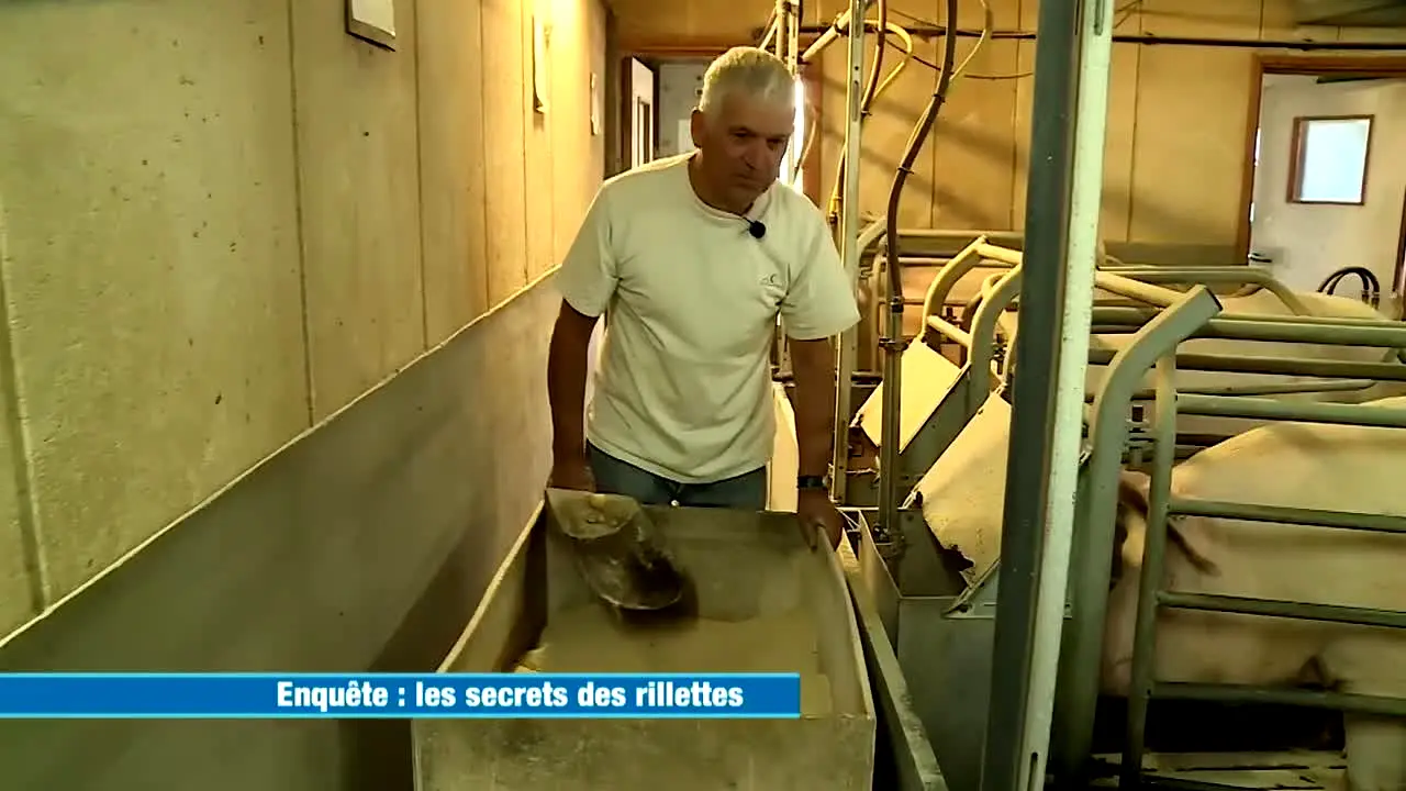 Ça Chauffe en Cuisine live