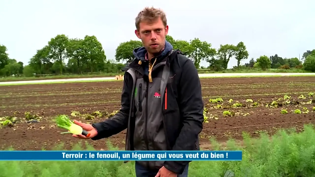 Ça Chauffe en Cuisine live