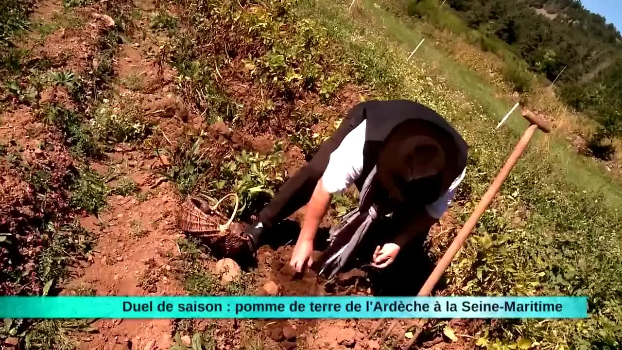 Ça Chauffe en Cuisine live
