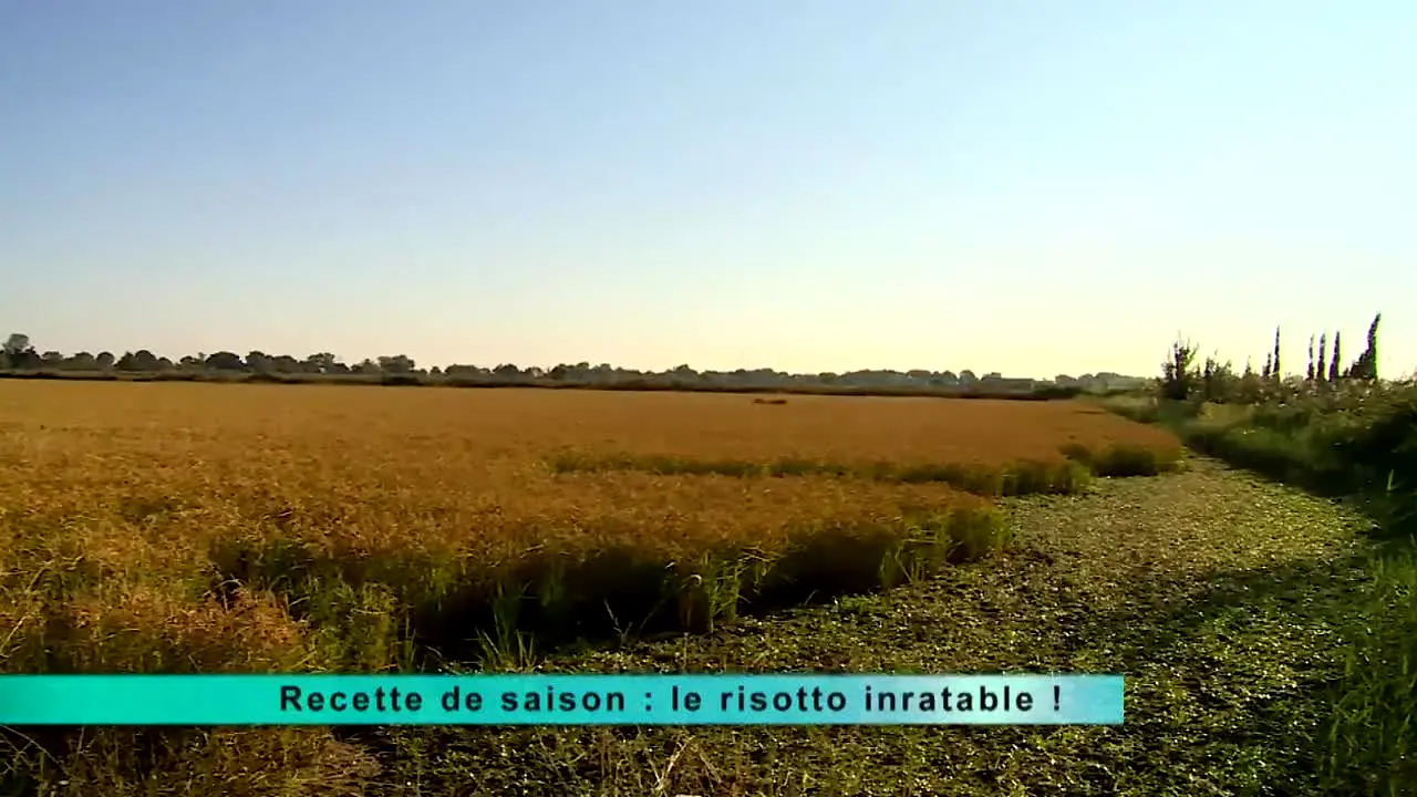 Ça Chauffe en Cuisine live